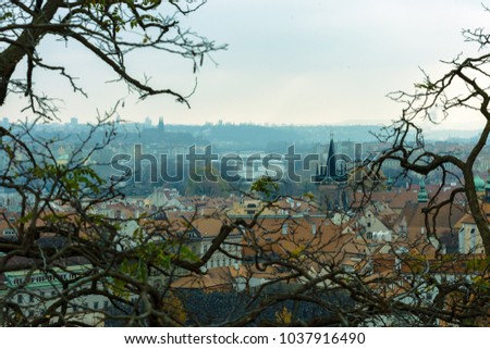 Prague old town panorama on rainy day through branches of trees, Czech Republic