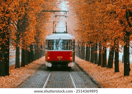 Prague tram on unique section of the tram line which is a popular tourist attraction in Prague, especially in autumn