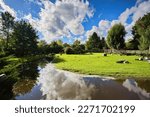 Prague Zoo garden with beautiful scenery