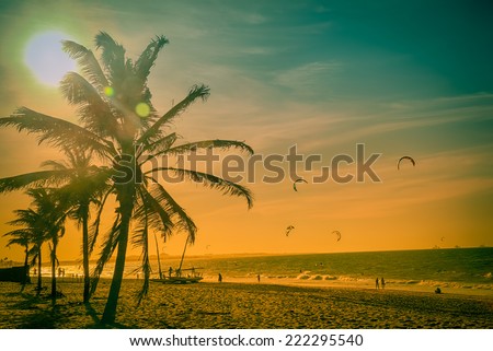 Praia de Cumbuco - Fortaleza, Ceara - Brazil