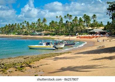 Praia Do Forte Beach - Bahia - Brazil