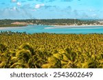 Praia do Gunga (Gunga Beach) in Alagoas, Brazil - View from the lookout