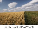 Prairie in Alberta, Canada
