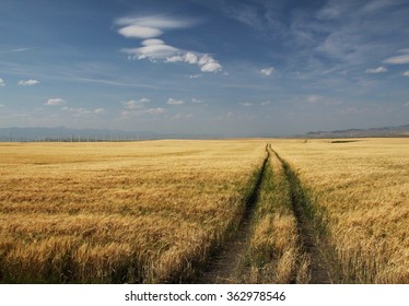 Prairie, Alberta, Canada