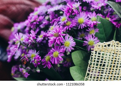 Prairie Aster Flower, Violet Flower