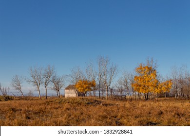 Prairie Autumn Field At Sunrise, Barn And Trees