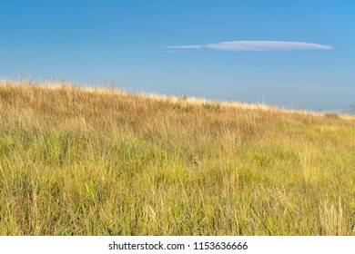 Prairie At Colorado Foothills In The Middle Of Summer