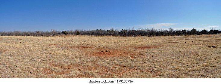 Prairie Dog Town In Caprock Canyons State Park, Texas