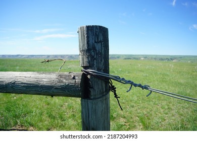 Prairie Field In Summer In Western Canada