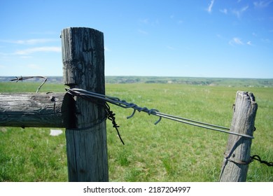 Prairie Field In Summer In Western Canada