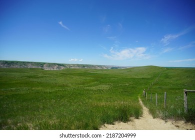 Prairie Field In Summer In Western Canada