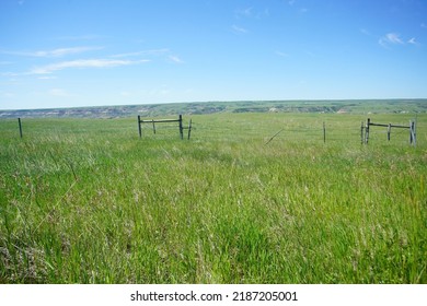 Prairie Field In Summer In Western Canada