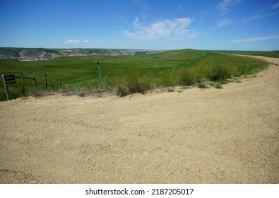 Prairie Field In Summer In Western Canada