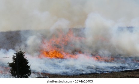 48 Flint Hills Burn Images, Stock Photos & Vectors | Shutterstock