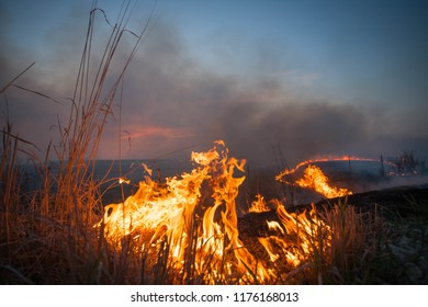 Prairie Fire At Sunset.