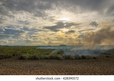 Prairie Fire In Sunset