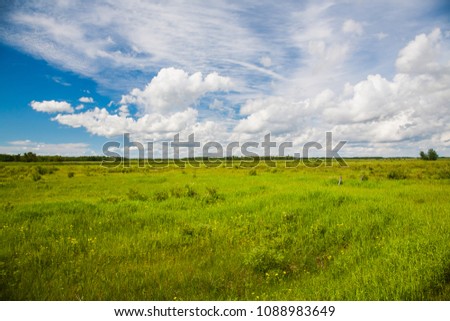 a prairie and grasland in eastern North Dakota.