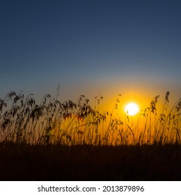 Prairie With Grass Silhouette At The Dramatic Sunset, Natural Sunset Background