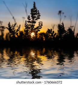 Prairie Grass Silhouette Reflected In A Calm Water In A Light Of Evening Sun, Countryside Sunset Background