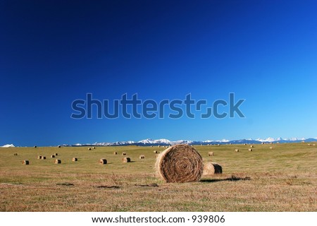 Prairie Haybail