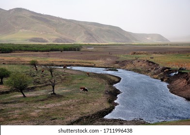 The Prairie Inner Mongolia China