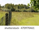Prairie Landscape