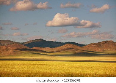 Prairie  Landscapes