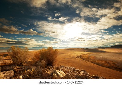 Prairie  Landscapes