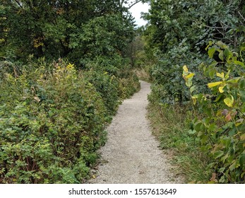 Prairie Restoration Path In Illinois Park