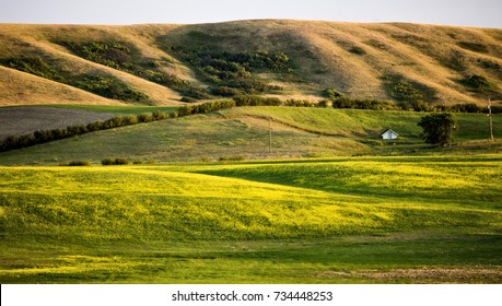 Prairie Scene Saskatchewan Summer Crop Harvest Canada