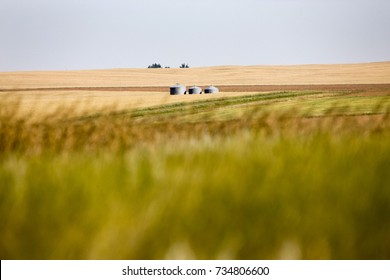 Prairie Scene Saskatchewan Summer Crop Harvest Canada