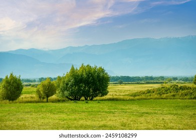 prairie, steppe Witness the mesmerizing beauty of nature as the vibrant hues of the setting sun paint the sky with a breathtaking palette. Nature Bliss - Powered by Shutterstock