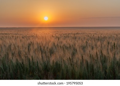 Prairie sunrise