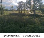 Prairie at Tedesco Environmental Learning Corridor, Ames, Iowa  