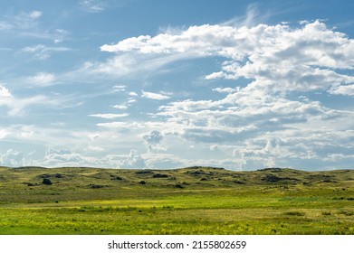 3,776 Green veld Images, Stock Photos & Vectors | Shutterstock