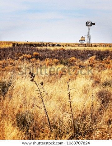 Prairie and windmill