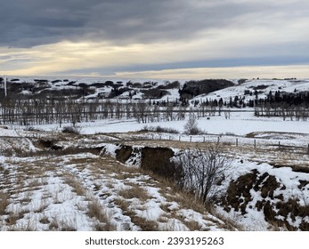 Prairie in the winter foothills of Alberta, Canada