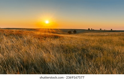 Prairies: Flat, grassy landscapes with minimal trees.