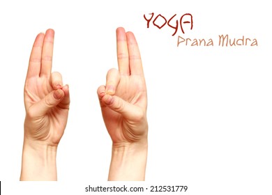 Prana Mudra Yoga Gesture Women Hands Isolated Background