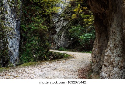 Prapastiile Zarnestilor Zarnestiului Gorge Piatra Craiului Stock Photo Edit Now 1032075442