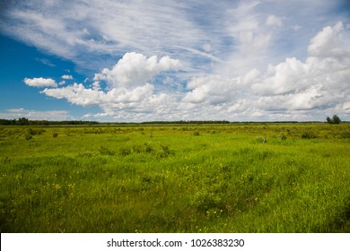 A Prarie And Grasland In Eastern North Dakota.