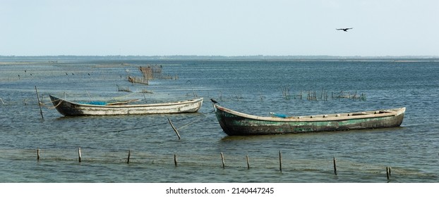 Prawn Fishing Boats, Nothern Sri Lanka