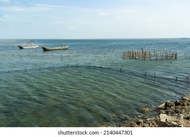 Prawn Fishing Boats, Nothern Sri Lanka