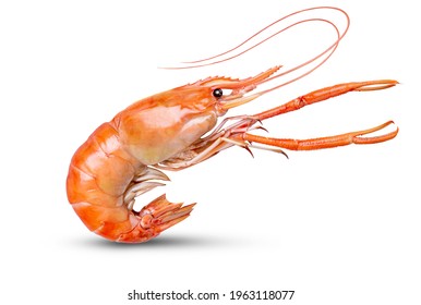 prawn shrimp side view healthy sea food on white  isolated with clipping path 