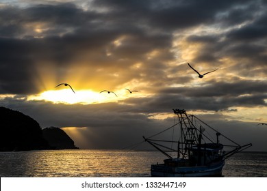 Prawn Trawler And Birds In The Sunrise.