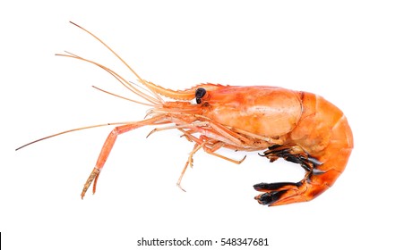 Prawns, Grilled River Shrimp Isolated On White Background, Top View.