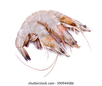 Prawns Isolated On White Background.