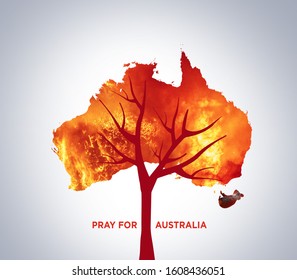 Pray For Australia. Australia Bush Fire Concept. Tree Burned By Bush Fire. Many  Animals Killed In Fire. Koala & Kangaroo Burned. Save Tree Save The Animal. Environment Day Concept.