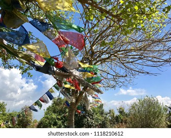 Prayer flags with a tree which pray to nature in Nepal