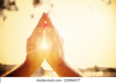 Praying hands - Shutterstock ID 210984577